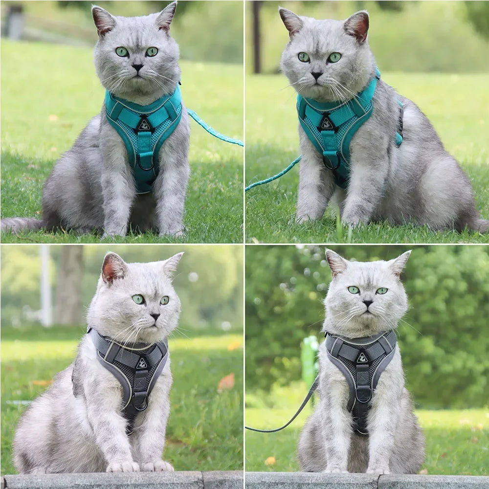 cat-vest-strap