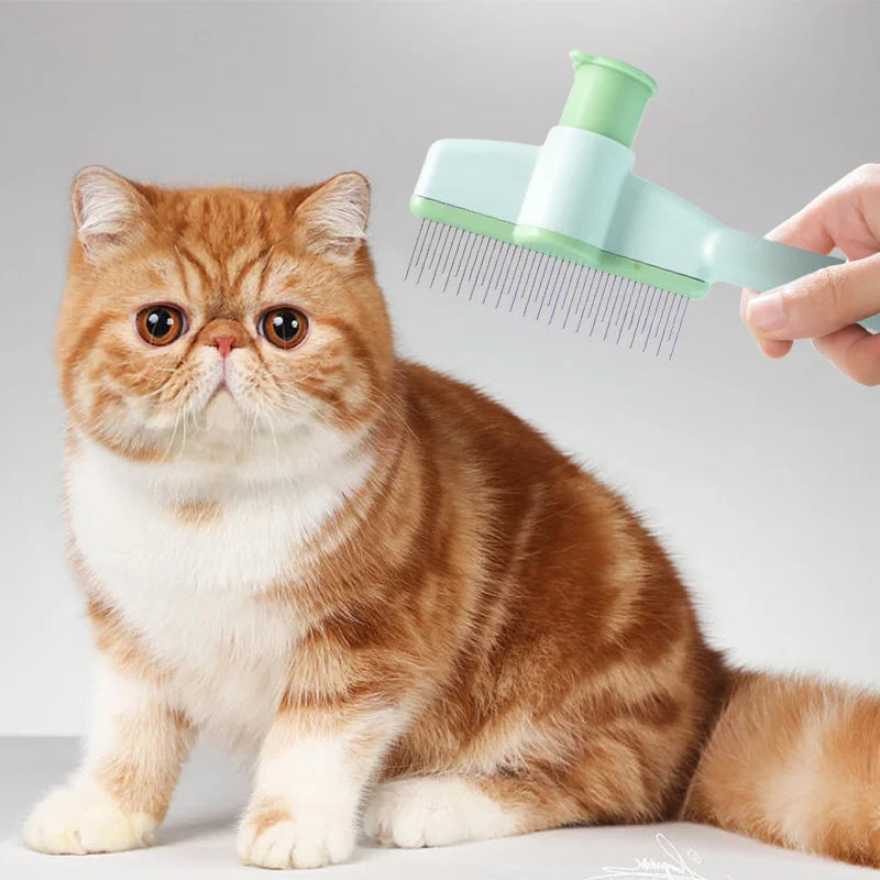 cat-grooming-massage-brush