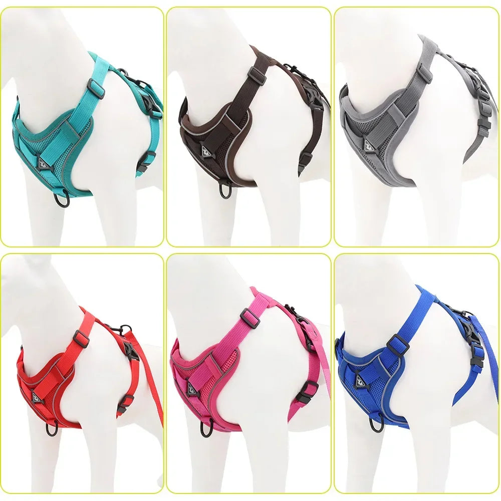 dog-vest-strap