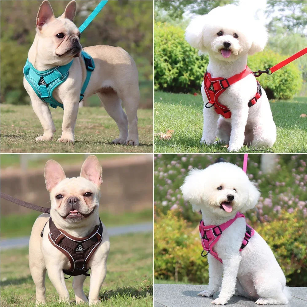 dog-vest-strap