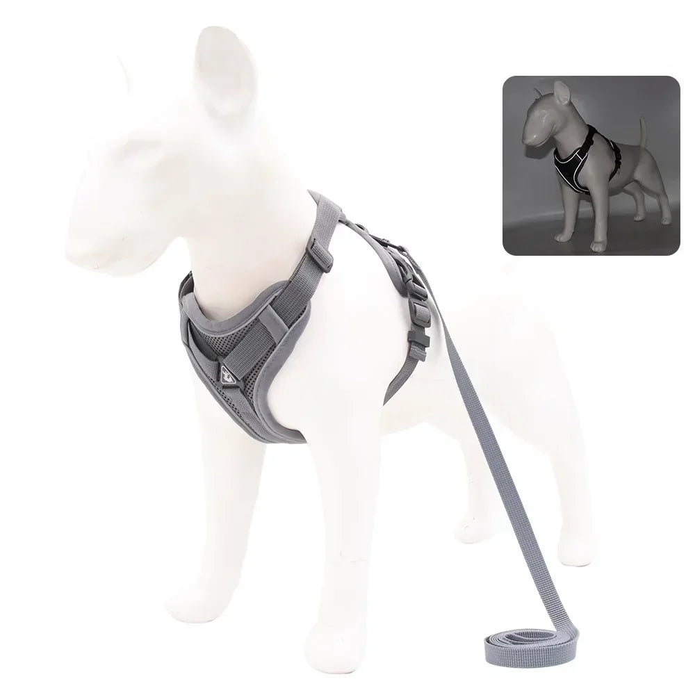dog-vest-strap-gray