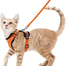 Escape-Proof Cat Harness & Leash