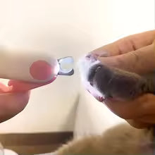 LED Pet Nail Clipper with Safety Lock