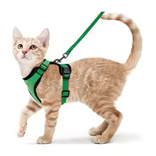 Escape-Proof Cat Harness & Leash