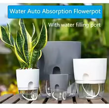Transparent Self-Watering Flower Pot