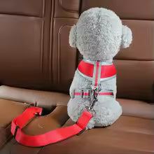 Pet Safety Car Seat Belt