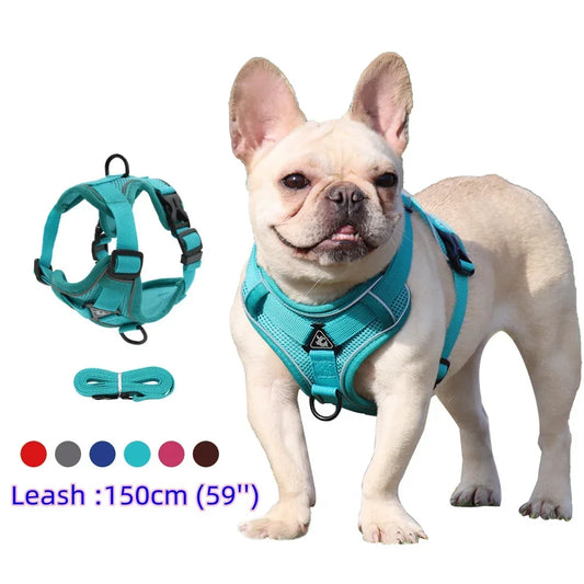 dog-vest-strap