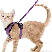 Escape-Proof Cat Harness & Leash