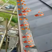 Premium Mesh Gutter Guard