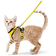 Escape-Proof Cat Harness & Leash