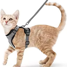 Escape-Proof Cat Harness & Leash