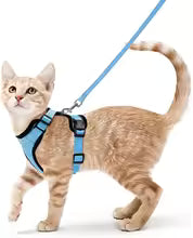Escape-Proof Cat Harness & Leash