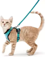 Escape-Proof Cat Harness & Leash