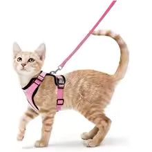 Escape-Proof Cat Harness & Leash