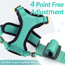 Escape-Proof Cat Harness & Leash