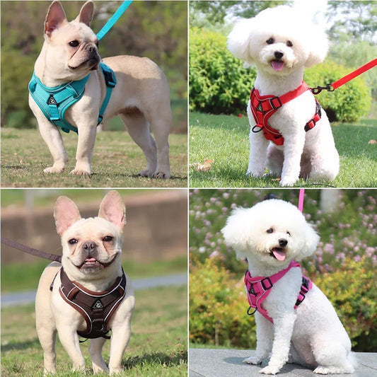 dog-vest-strap