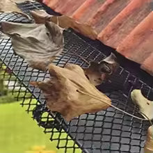 Premium Mesh Gutter Guard