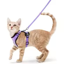 Escape-Proof Cat Harness & Leash