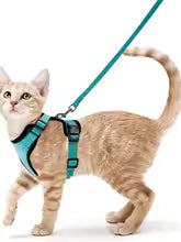 Escape-Proof Cat Harness & Leash