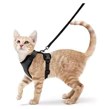 Escape-Proof Cat Harness & Leash