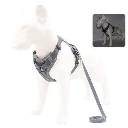 dog-vest-strap-gray