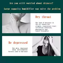 2L USB Dual Spray Humidifier