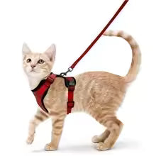 Escape-Proof Cat Harness & Leash